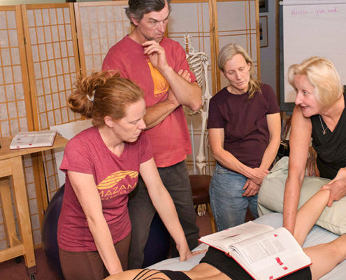 Donna Bajelis demonstrates on a patient's leg for a small group of structural integration students.